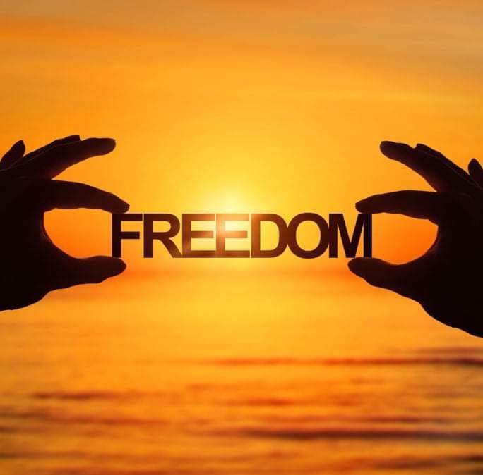 Stichting Freedom Stichting Freedom