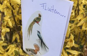 Kaartje in de wijk