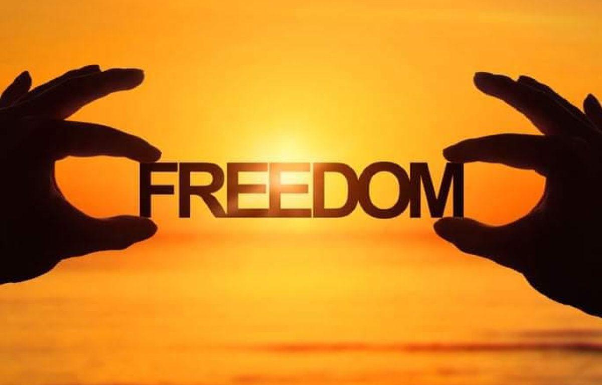 Stichting Freedom